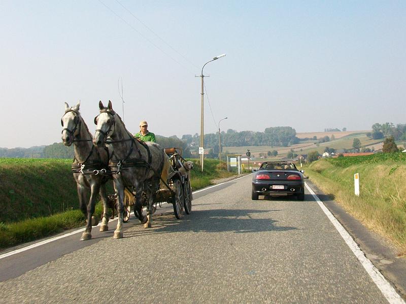 De namiddagrit verkennen we het Pajottenland en de Vlaamse Ardennen, met de Hellingen en Kasseistroken uit de Ronde van Vlaanderen (26).JPG